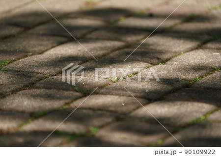木漏れ日のあたる石畳 90109922