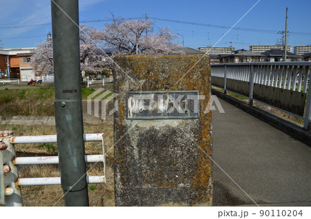南浅川の桜並木 八王子市 南浅川の桜並木 八王子市 90110204