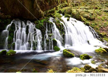 新緑の元滝伏流水 90110333