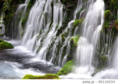 新緑の元滝伏流水 90110334