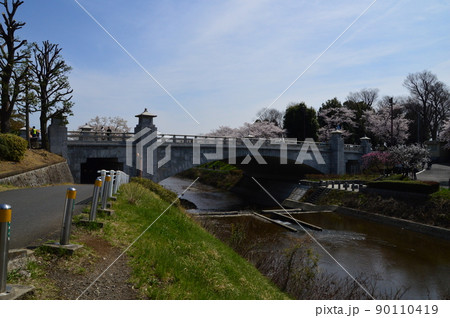 八王子市陵南公園と南浅川んも桜 八王子市陵南公園と南浅川んも桜 90110419