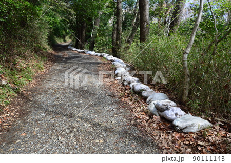 都立滝山自然公園と周辺の春 八王子市 都立滝山自然公園と周辺の春 八王子市 90111143