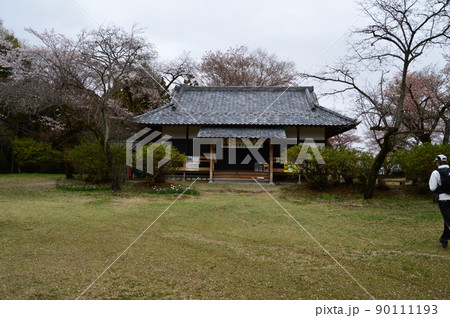 都立滝山自然公園と周辺の春 八王子市 都立滝山自然公園と周辺の春 八王子市 90111193