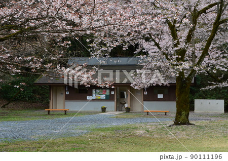 都立滝山自然公園と周辺の春 八王子市 都立滝山自然公園と周辺の春 八王子市 90111196