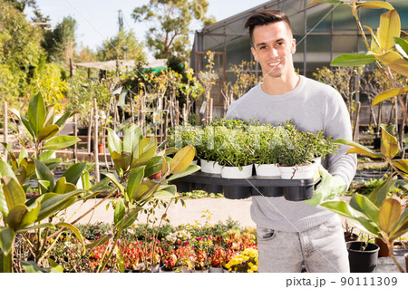 Man gardener is transplanting flowers in pots in orangery 90111309
