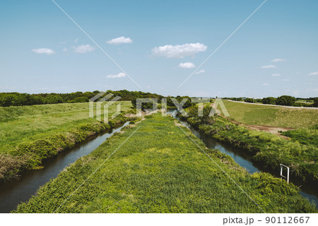 河川敷の堤防整備 法面に根付く芝 入間川流域 2022.05　b-2 マット感 90112667