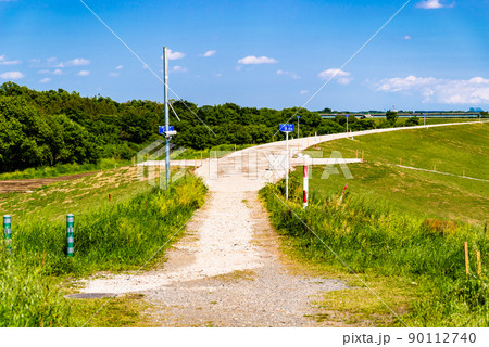河川敷の堤防整備 法面に根付く芝 入間川流域 2022.05 f-2 高彩度コントラスト 河川敷の堤防整備 法面に根付く芝 入間川流域 2022.05 f-2 高彩度コントラスト 90112740