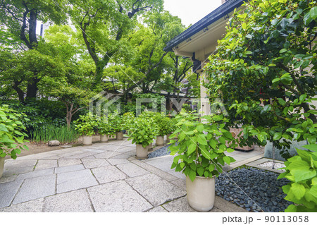 坐摩神社　いかすり神社　参道（大阪市本町　新緑の季節） 90113058