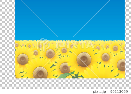 The land of sunflowers The land of sunflowers 90113069
