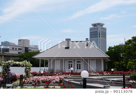 ヴェルニー公園のバラ　Verny Park   Rose 90113076