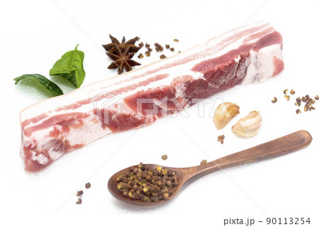 肉 人体 お肉 90113254