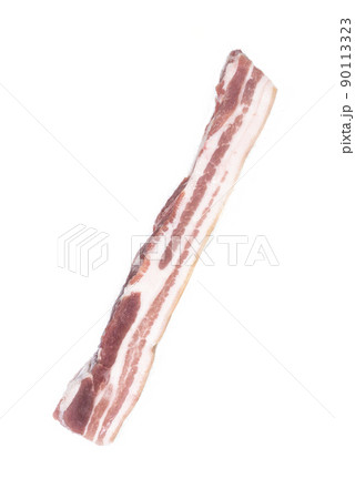 肉 人体 お肉 90113323