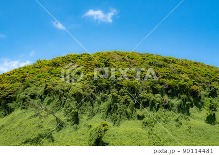 神奈川県葉山町 神奈川県近代美術館 葉山からの景色 神奈川県葉山町 神奈川県近代美術館 葉山からの景色 90114481