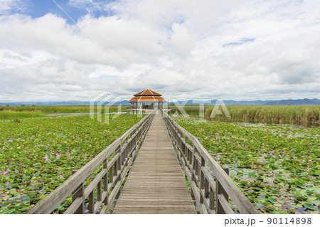 Beautiful view of Wooden Bridge on lotus lake at Khao Sam Roi Yod National Park, Thailand. Beautiful view of Wooden Bridge on lotus lake at Khao Sam Roi Yod National Park, Thailand. 90114898
