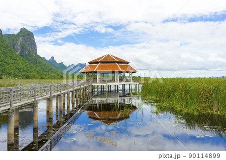 Beautiful view of Wooden Bridge on lotus lake at Khao Sam Roi Yod National Park, Thailand. Beautiful view of Wooden Bridge on lotus lake at Khao Sam Roi Yod National Park, Thailand. 90114899