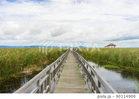 Beautiful view of Wooden Bridge on lotus lake at Khao Sam Roi Yod National Park, Thailand. 90114900