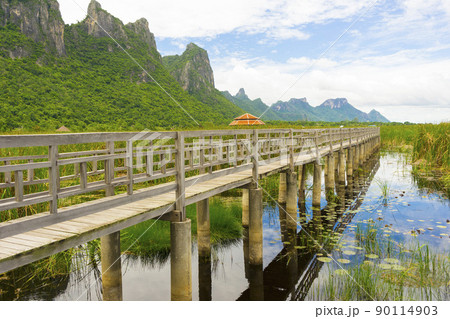Beautiful view of Wooden Bridge on lotus lake at Khao Sam Roi Yod National Park, Thailand. Beautiful view of Wooden Bridge on lotus lake at Khao Sam Roi Yod National Park, Thailand. 90114903