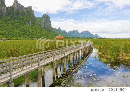 Beautiful view of Wooden Bridge on lotus lake at Khao Sam Roi Yod National Park, Thailand. Beautiful view of Wooden Bridge on lotus lake at Khao Sam Roi Yod National Park, Thailand. 90114904