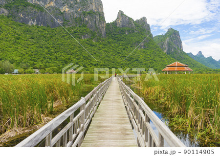 Beautiful view of Wooden Bridge on lotus lake at Khao Sam Roi Yod National Park, Thailand. 90114905