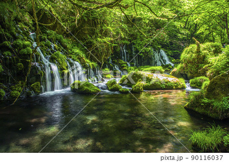 元滝 元滝 90116037