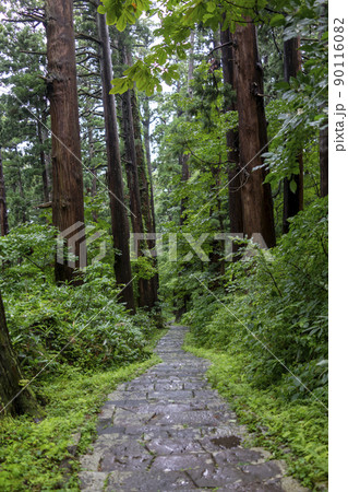 出羽三山神社 参道の石段 出羽三山神社 参道の石段 90116082