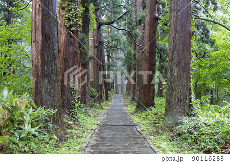 出羽三山神社 参道の石段(三の坂) 出羽三山神社 参道の石段(三の坂) 90116283