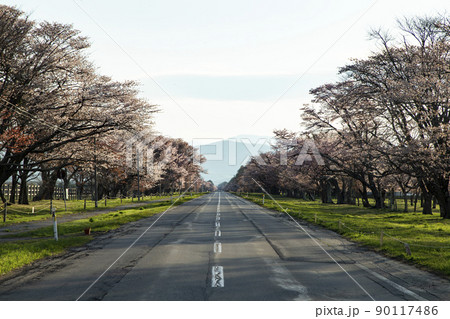 静内20間道路 90117486