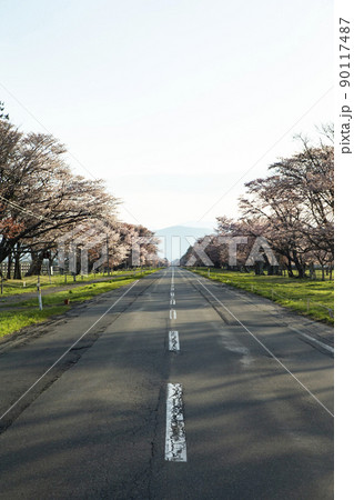 静内20間道路 静内20間道路 90117487