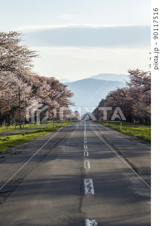 静内20間道路 静内20間道路 90117516