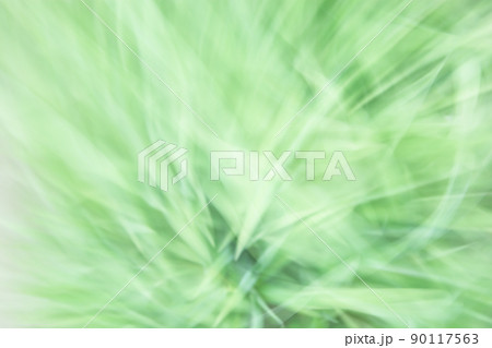 Abstract blurred background of green leaves in light colors. 90117563