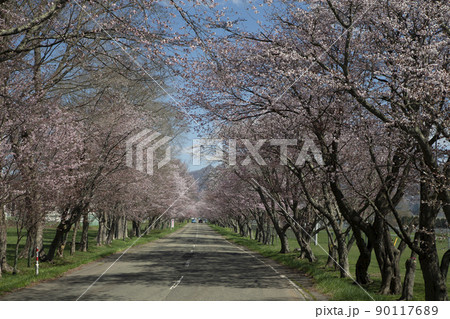 優駿桜ロード 90117689