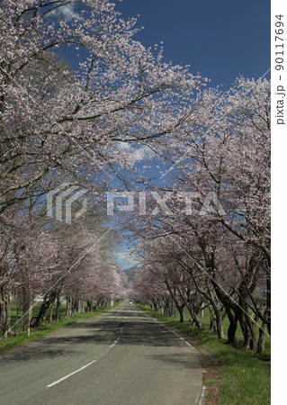 優駿桜ロード 90117694