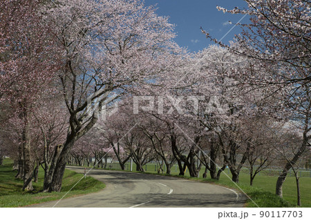 優駿桜ロード 優駿桜ロード 90117703