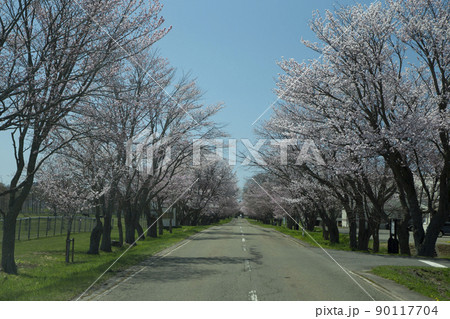 優駿桜ロード 優駿桜ロード 90117704