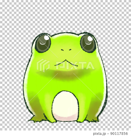 青蛙的插圖 青蛙的插圖 90117856