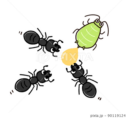 アブラムシの甘い汁に集まるアリたちのイラスト素材