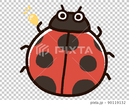 Ladybug Produce
