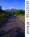 20220526林道富士線からの早朝の青空の富士山 20220526林道富士線からの早朝の青空の富士山 90119190
