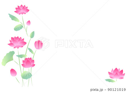蓮の花の暑中見舞いはがきテンプレート(文字なし) 蓮の花の暑中見舞いはがきテンプレート(文字なし) 90121019
