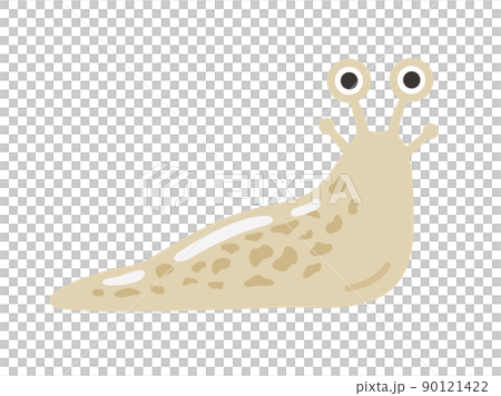 Illustration of slugs 90121422
