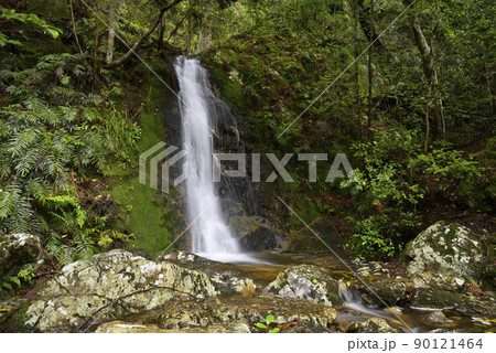 筱見四十八滝 手洗い滝(兵庫県丹波篠山市上筱見) 筱見四十八滝 手洗い滝(兵庫県丹波篠山市上筱見) 90121464