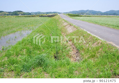 水田の用水路に沿った法面の雑草が伸びた状態 90121475
