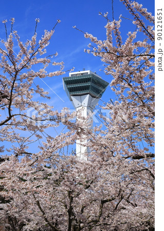 五稜郭タワーと五稜郭公園の桜 五稜郭タワーと五稜郭公園の桜 90121651