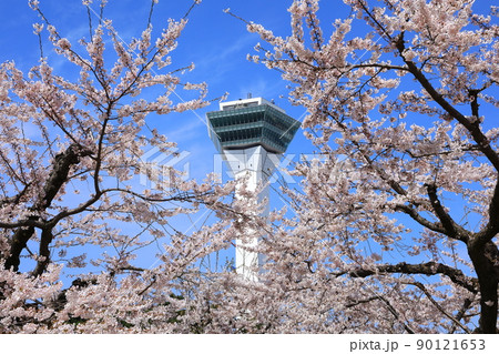 五稜郭タワーと五稜郭公園の桜 90121653