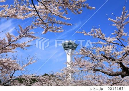 五稜郭タワーと五稜郭公園の桜 五稜郭タワーと五稜郭公園の桜 90121654