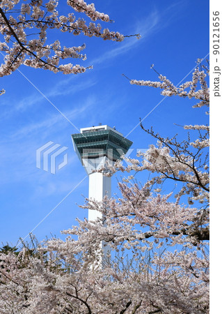 五稜郭タワーと五稜郭公園の桜 90121656