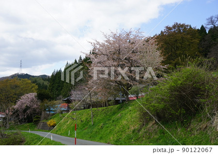 日本の原風景大迫の春 90122067