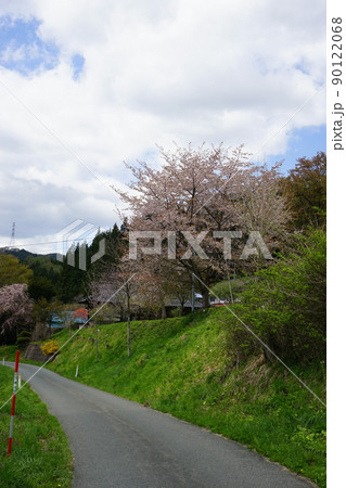 日本の原風景大迫の春 90122068