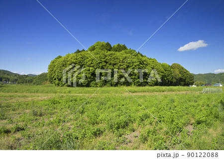 雲部車塚古墳（兵庫県丹波篠山市東本荘） 90122088