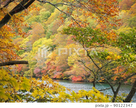 赤沼の紅葉 赤沼の紅葉 90122347